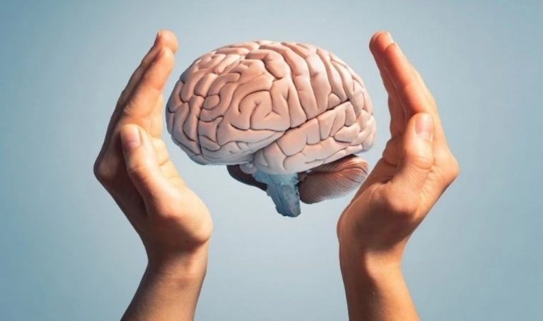 İnsan beyni nasıl gelişti? Saldırılarla değil! – Son dakika bilim teknoloji haberleri