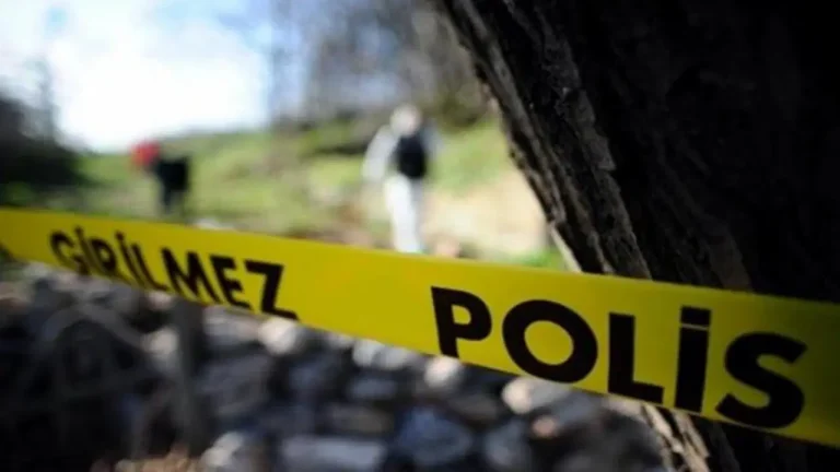 Öğrenci kanyondaki suya düştü: araştırma çalışması başladı! – Türkiye haberlerini kırmak