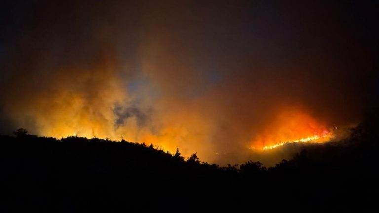 Balıkesir’de orman yangını: Bir mahalle tedbiren boşaltıldı